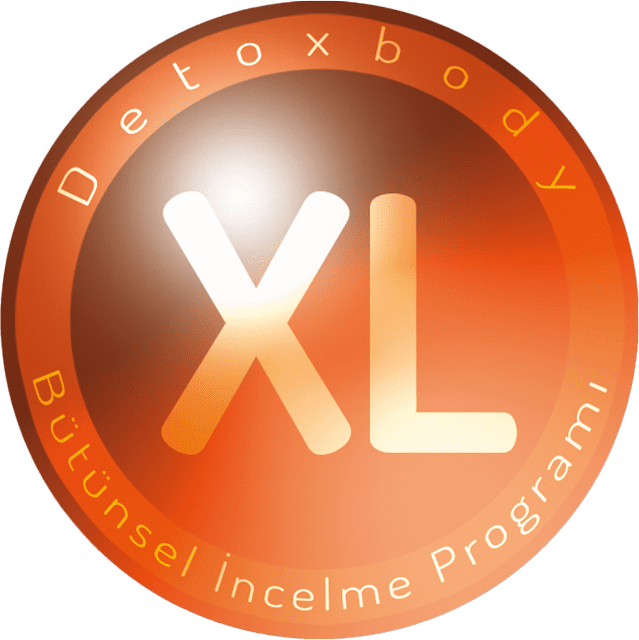 Detoxbody life XL programı